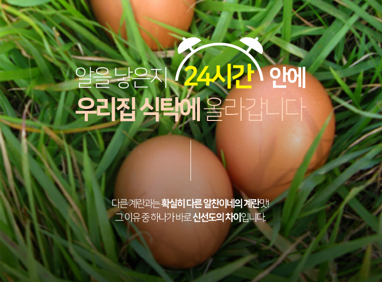<big><b>24시간안에 우리집 식탁에 올라갑니다!</b></big><br/>