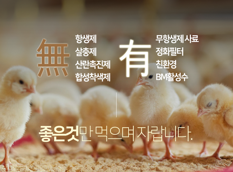 <big><b>KORC FOOD가 준비한 신선한 농/수산물</b></big><br/>지정된 공간에 텍스트를 입력하면 사진에 마우스를 올렸을 때 검은색 반투명 상자와 함께 설명이 나