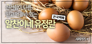 배너 기획전01